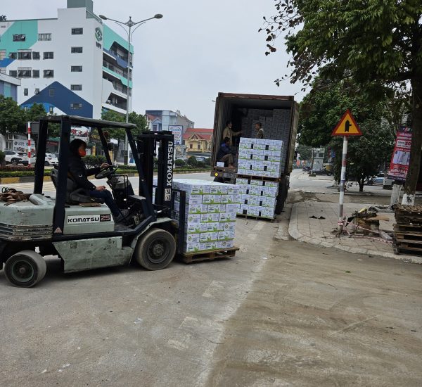 hinhanh-hoat-dong-4